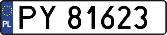 PY81623