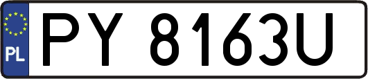 PY8163U
