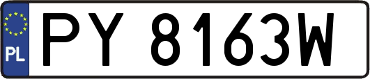 PY8163W