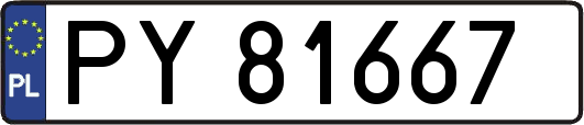 PY81667