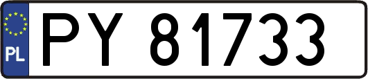PY81733