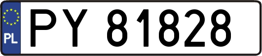 PY81828