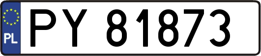 PY81873