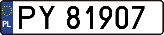 PY81907