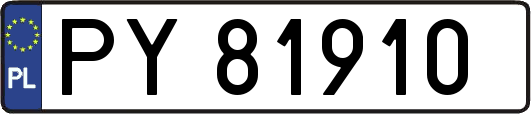 PY81910