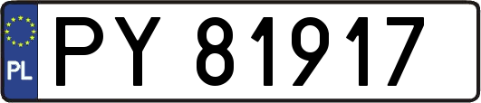 PY81917