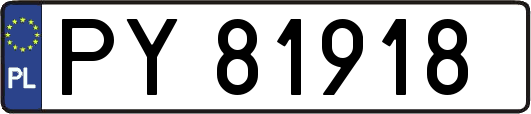 PY81918