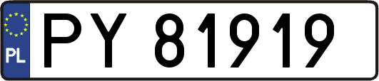PY81919