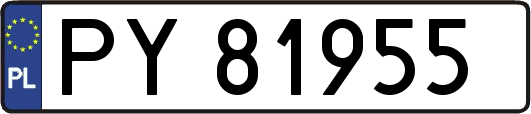 PY81955