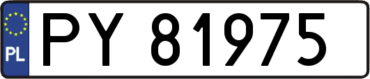 PY81975