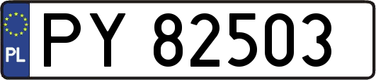 PY82503