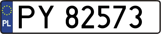 PY82573