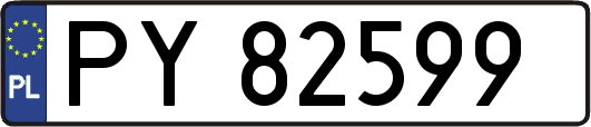 PY82599