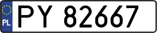 PY82667