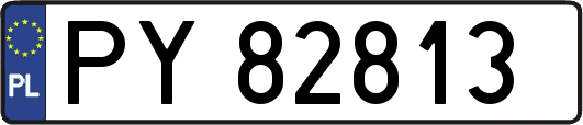 PY82813