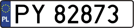 PY82873