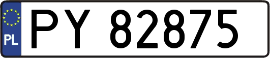 PY82875