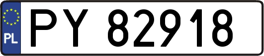 PY82918