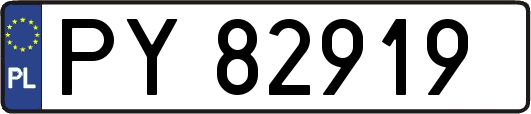 PY82919