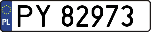 PY82973