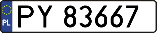 PY83667