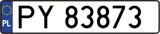 PY83873