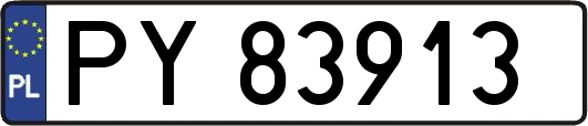 PY83913