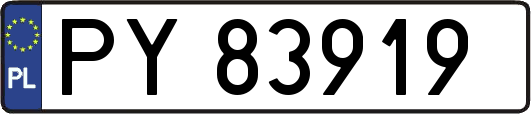 PY83919