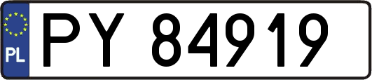 PY84919