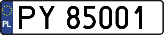 PY85001