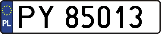 PY85013