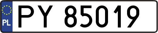 PY85019