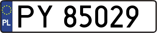 PY85029