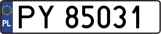 PY85031