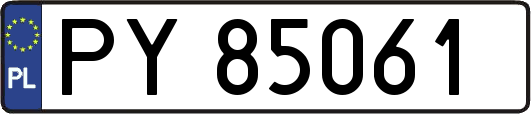 PY85061