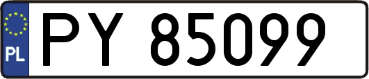 PY85099