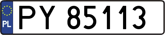 PY85113