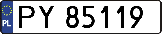 PY85119