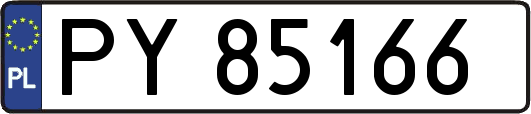PY85166