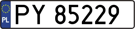 PY85229
