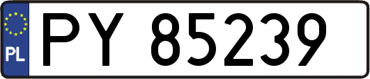 PY85239