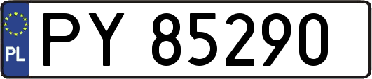 PY85290