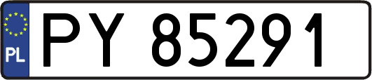 PY85291