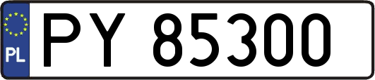 PY85300