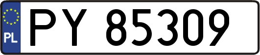PY85309