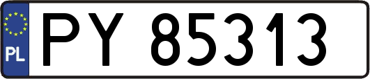 PY85313