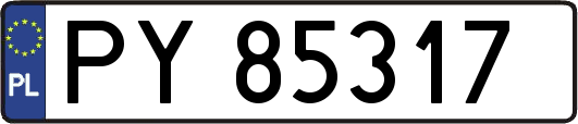 PY85317