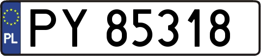 PY85318
