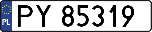 PY85319