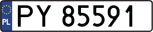 PY85591